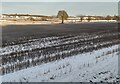 Snow covered farmland north of Waggon Lane in DY10 3NY