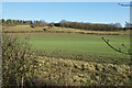 Farmland north of Brightwell-cum-Sotwell in OX10 0PT