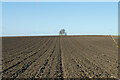 Ploughed and planted farmland above Brightwell-cum-Sotwell in OX10 0PT