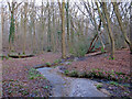 Stream between Birch Wood and Woodham Walter Common in CM9 6RY