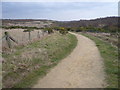 Footpath heading back to Rother Valley in S26 4SX