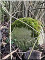 Old Boundary Marker on the roadside between Upton and Vernham Dean in SP11 0JS