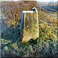 Stoke Bardolph trig pillar in NG14 5BD