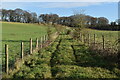 Grassy track between fields in SO20 6QL
