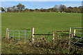 Field south of Eldon Edge in SO20 6QL
