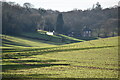 Valley view toward Lower Eldon Farm in SO20 6QL