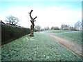 Dead tree near St Annes Road North, Heald Green in SK8 3QL