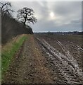 Farmland near Melton Brook in LE7 3AT