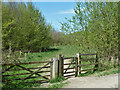 Gate into The Old Park in CM13 3EG