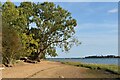 Nacton Shore looking east down the river Orwell towards Felixstowe in IP10 0ET