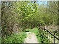 Path out of Norsey Wood in CM11 1HL