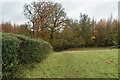 Footpath along field boundary in TN16 1LU