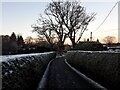Hedgerow-lined road above Barncluith in ML3 7HG