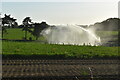 Cannon irrigation of field crops near Monument Farm in IP10 0AE