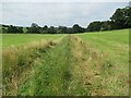 Footpath through Farmland in NE66 3PF