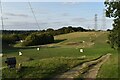 Golf driving range, Bourne Hill in IP2 8NW
