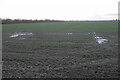 Soggy field west of Shillingford Road in OX10 8AB