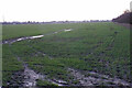 Field on the northern edge of Wallingford in OX10 8AB