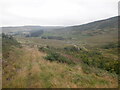 Track above the Hopehouse Burn in TD7 5HU
