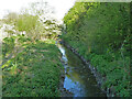 Brook between playing fields and Hannakins Meadow, Billericay in Billericay West Ward