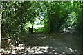 Footpath junction, Dirty Lane in RH19 3PG