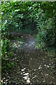 Footpath, Salmon Wood in RH19 3PG