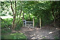 Footpath entering Salmon Wood in RH19 3PG