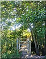 Foot Bridge for Path in East Chiltington in East Chiltington