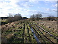 Fieldside track near Waterbeach Airfield in CB25 9RY