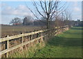 Footpath near Coddenham in IP6 9PY