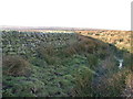 Wall on Kelton Fell in DL12 0PP