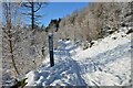 Snow-covered bike trail, Glentress Forest in EH45 8NA