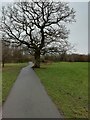 Footpath through Rose Vale Park, Heald Green in SK8 3QL
