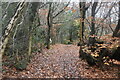 Footpath, Stanhope Wood in TN16 1ND