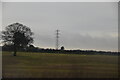 Pylon, Cotes heath in ST21 6RP
