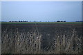 Fields off Round House Drove in PE16 6TD