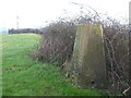 Blackberry Hill pillar in BS39 5QQ