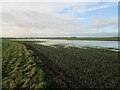 Waterlogged field with autumn sown crop in NG24 2SA