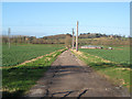 Track through farmland to the River Frome in HR1 4EG