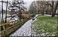 Icy path along the shoreline of the Arrow Valley Lake in B98 0LF