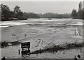 Frozen Arrow Valley Lake in B98 0LF