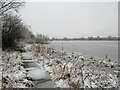 Winter's day at Strathclyde Park Loch in ML1 3PD
