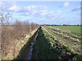 Ditch in farmland near Waterbeach Airfield in CB25 9RY
