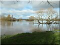 Flooding in the Trent valley, King's Bromley [1] in DE13 7JZ
