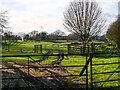 Entrance gate to grazing in NR28 0JQ