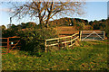 Field Gates near Abbotswood Farm, Brockworth in GL3 4RU