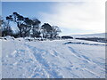 Snow covered field, Snawdon in EH41 4PJ