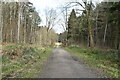 Track, Chittenden Wood in TN17 3PB