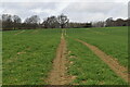 Footpath across arable field in TN17 2AB