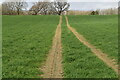 Footpath crossing field in TN17 2AB